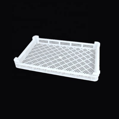 Pasta Drying Tray Plastic Baking Airing Tray For Sefood Fruit